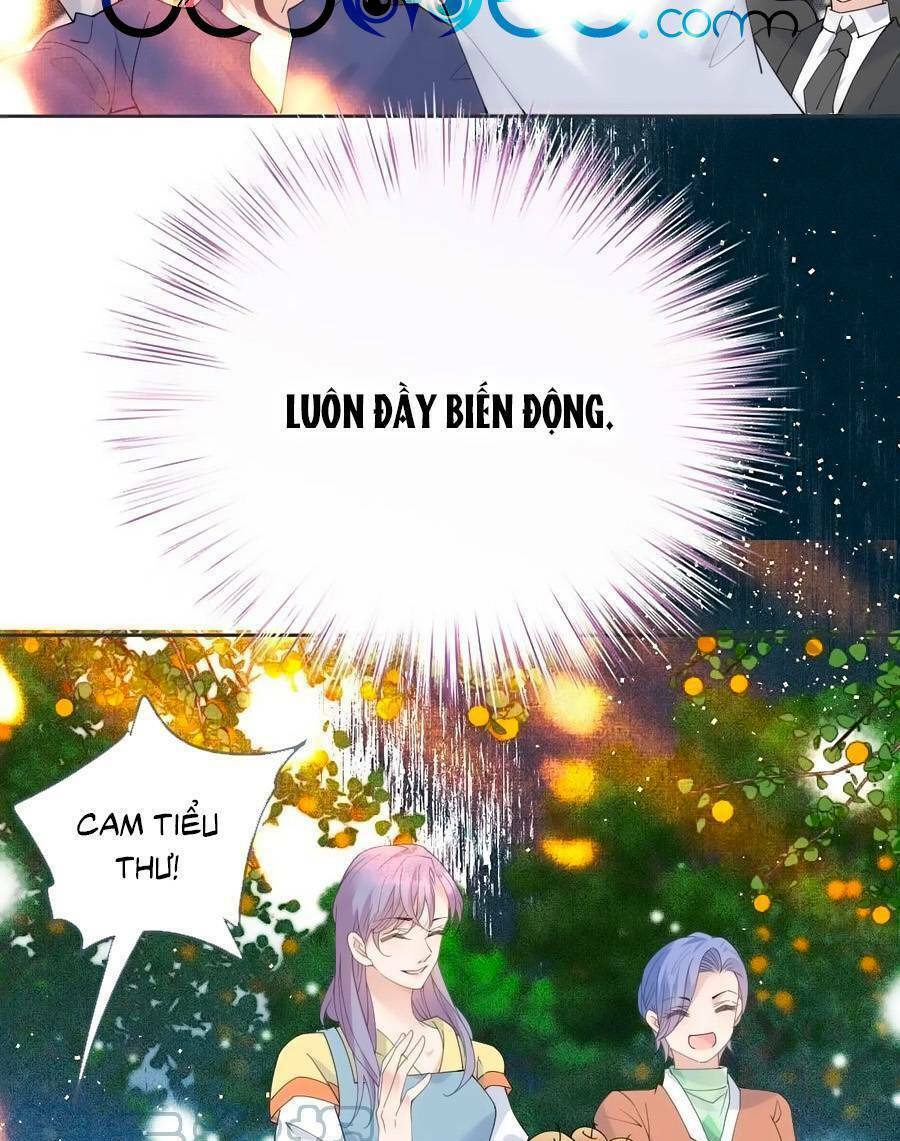 Cô Vợ Mang Thai Một Tặng Một Chapter 224 - Trang 2