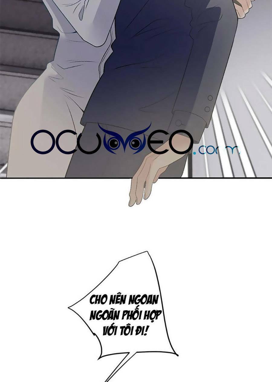 Cô Vợ Mang Thai Một Tặng Một Chapter 237 - Trang 2