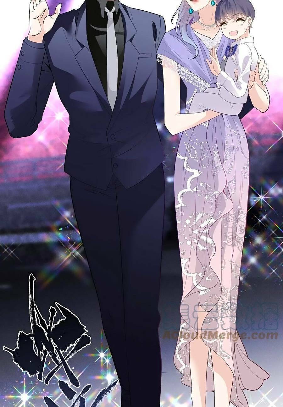 Cô Vợ Mang Thai Một Tặng Một Chapter 241 - Trang 2