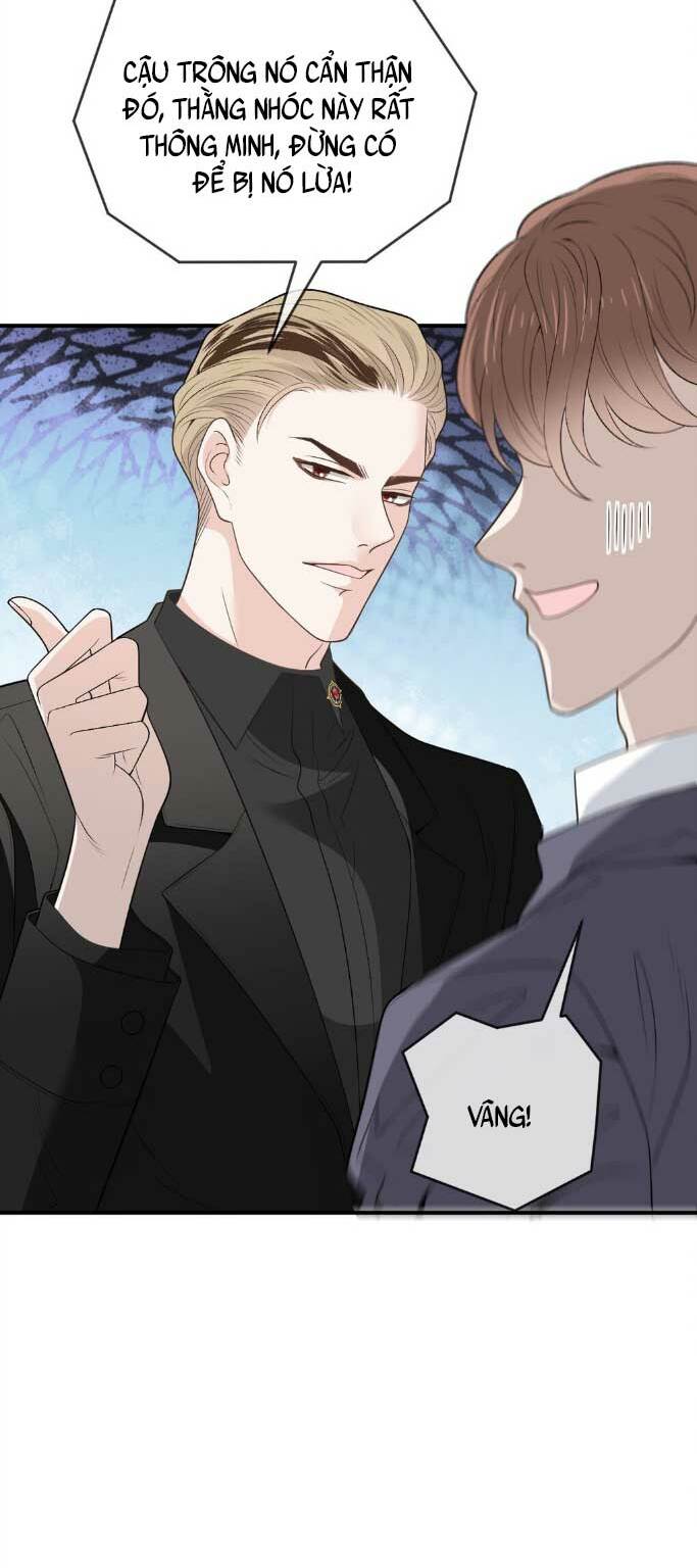 Cô Vợ Mang Thai Một Tặng Một Chapter 264 - Trang 2