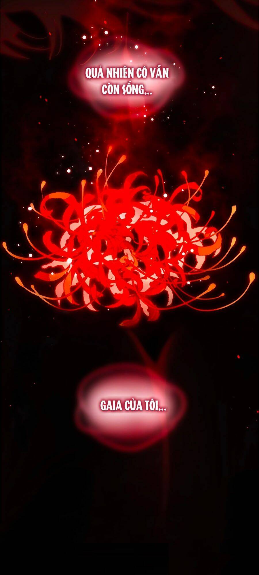 Cô Vợ Mang Thai Một Tặng Một Chapter 28 - Trang 2