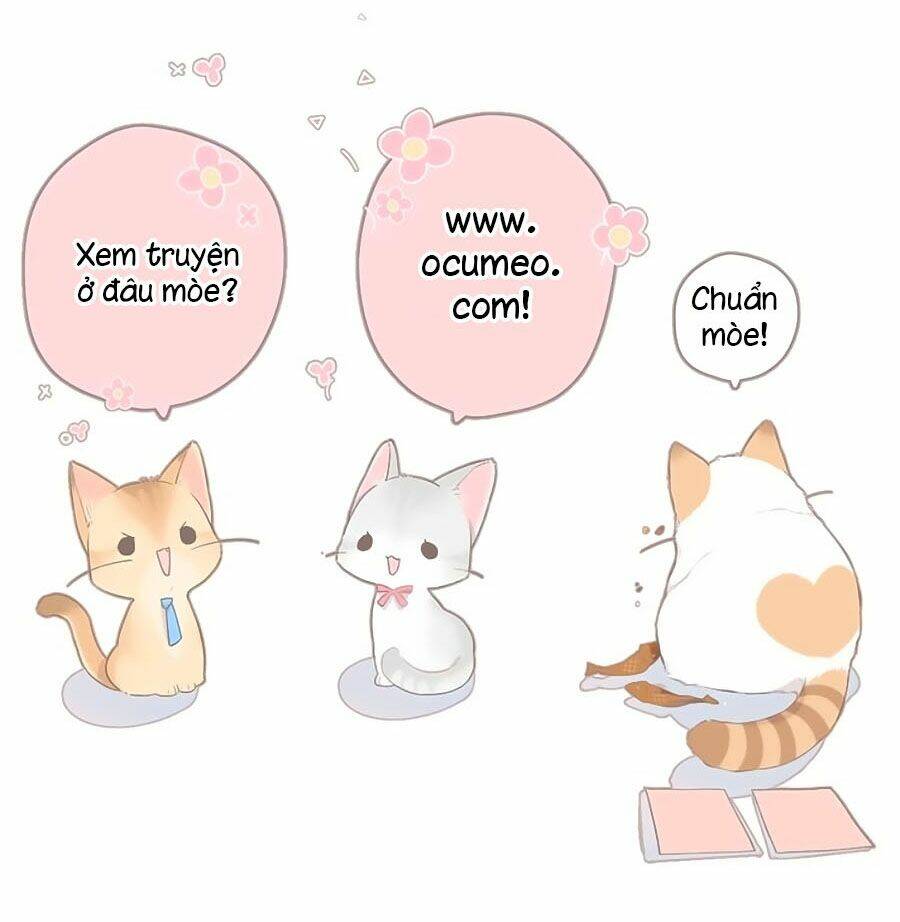 Cô Vợ Mang Thai Một Tặng Một Chapter 47 - Trang 2