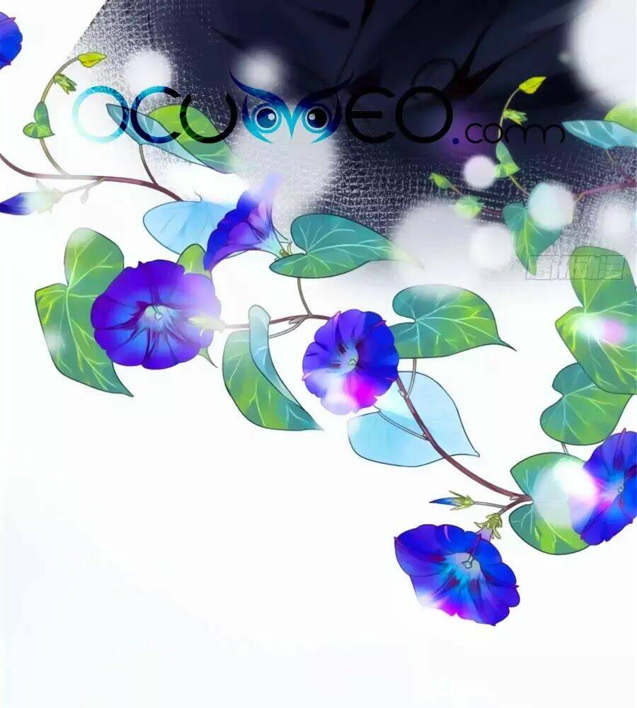 Cô Vợ Mang Thai Một Tặng Một Chapter 6 - Trang 2