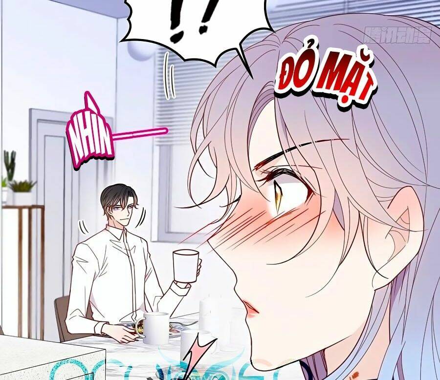 Cô Vợ Mang Thai Một Tặng Một Chapter 67 - Trang 2