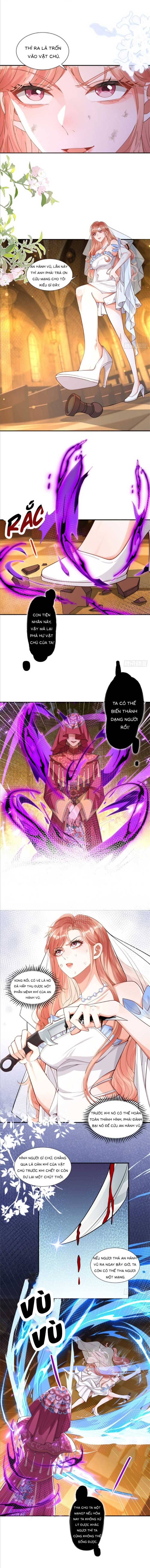 Cô Vợ Nhỏ Cứ Thích Phá Vỡ Hình Tượng Chapter 6 - Trang 2