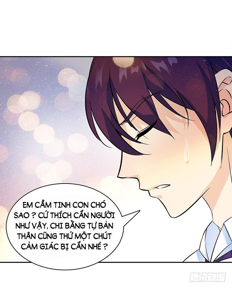 Cô Vợ Siêu Mẫu Của Cố Thiếu Chapter 28 - Trang 2