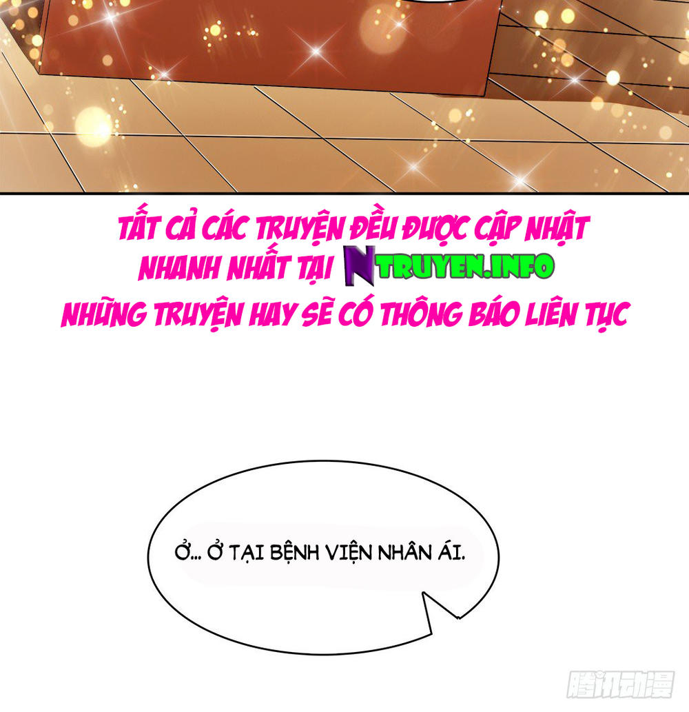 Cô Vợ Siêu Mẫu Của Cố Thiếu Chapter 48 - Trang 2