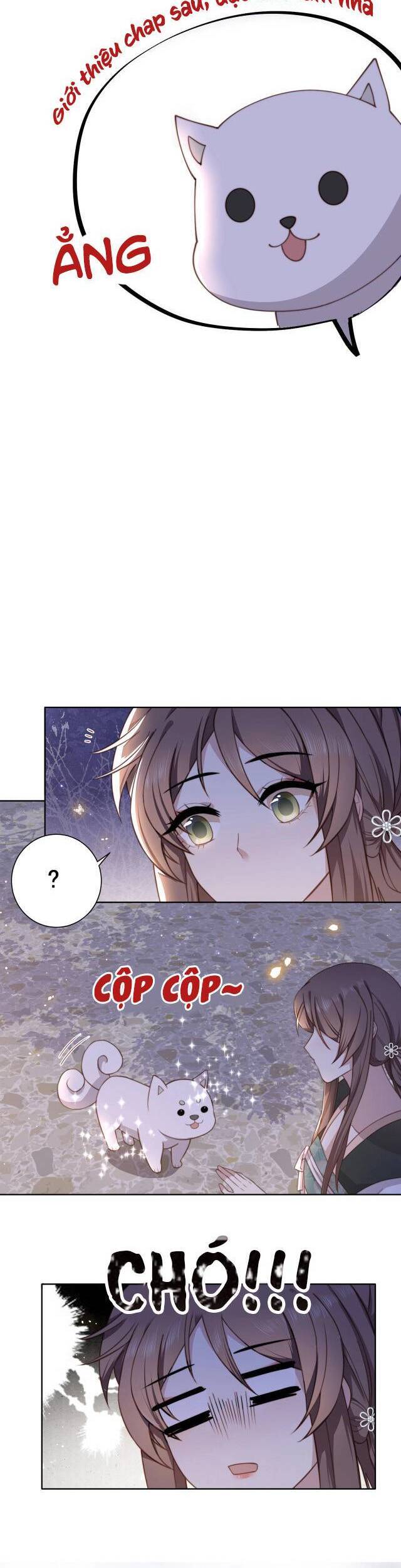 Cô Vương Quả Nữ Chapter 3 - Trang 2