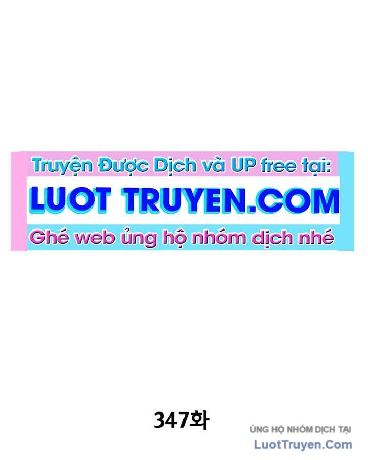 Cơn Bão Đỏ Chapter 347 - Trang 2
