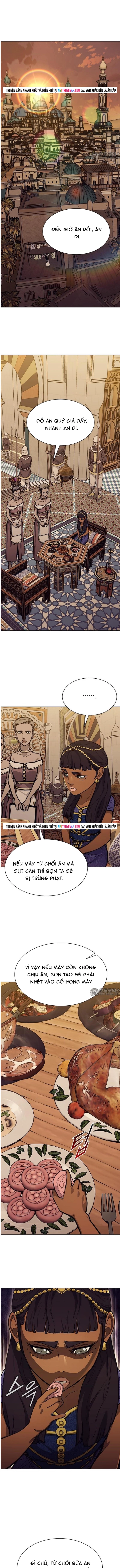 Con Đường Của Võ Giả Chapter 251 - Trang 2