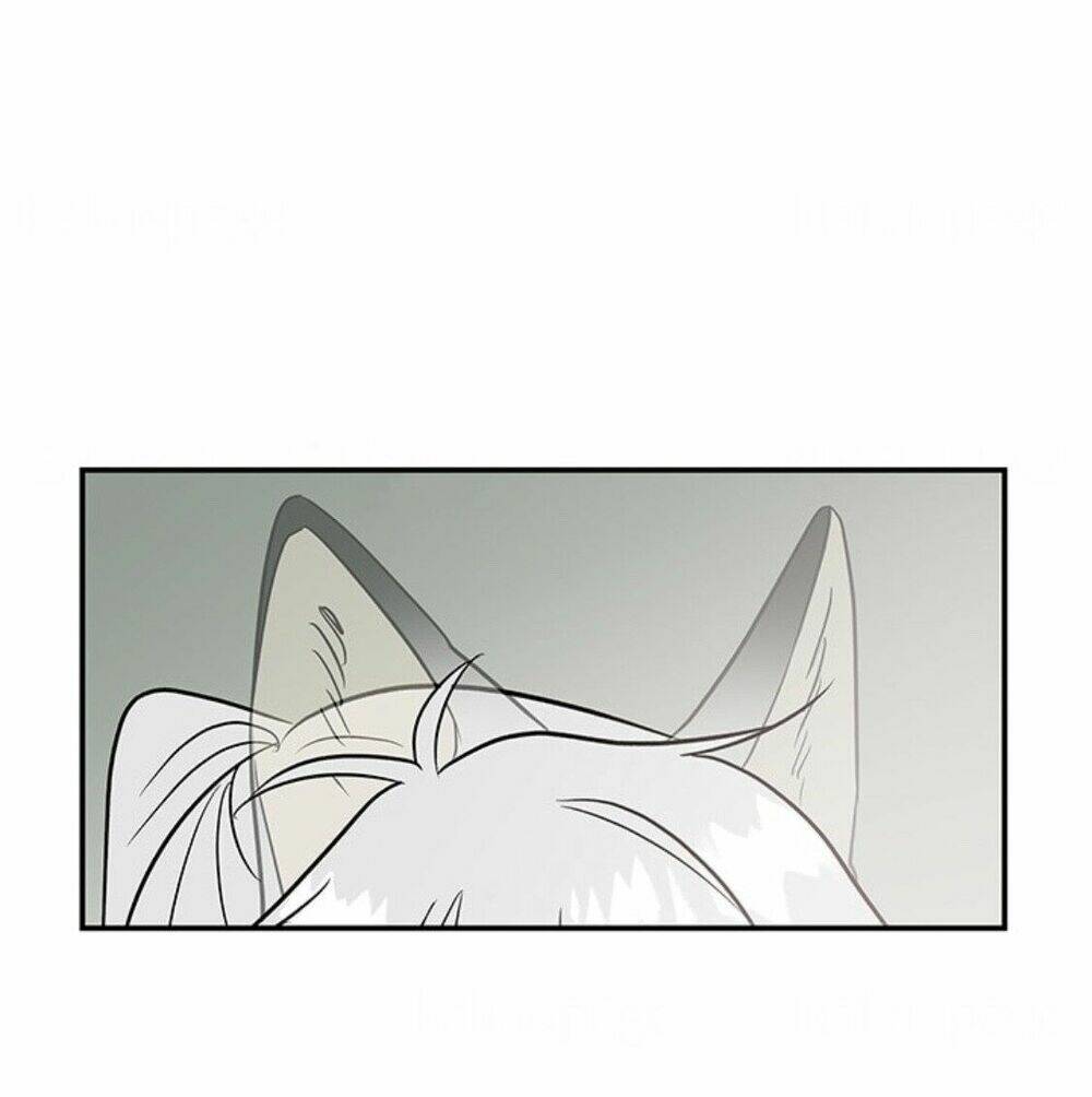 Con Gái Của Đại Pháp Sư Chapter 10 - Trang 2