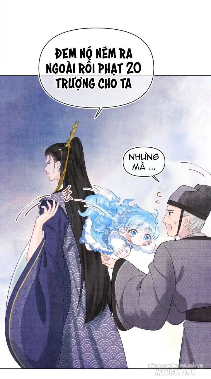 Con Gái Cưng Của Ta Là Mỹ Nhân Ngư Chapter 1 - Trang 2