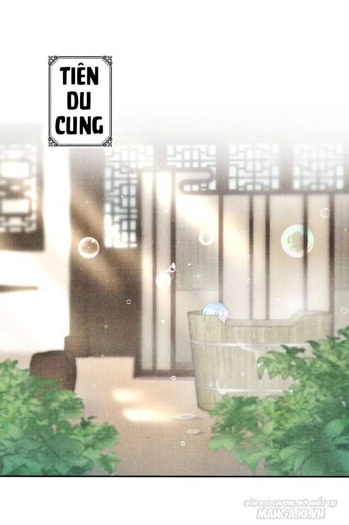 Con Gái Cưng Của Ta Là Mỹ Nhân Ngư Chapter 1 - Trang 2