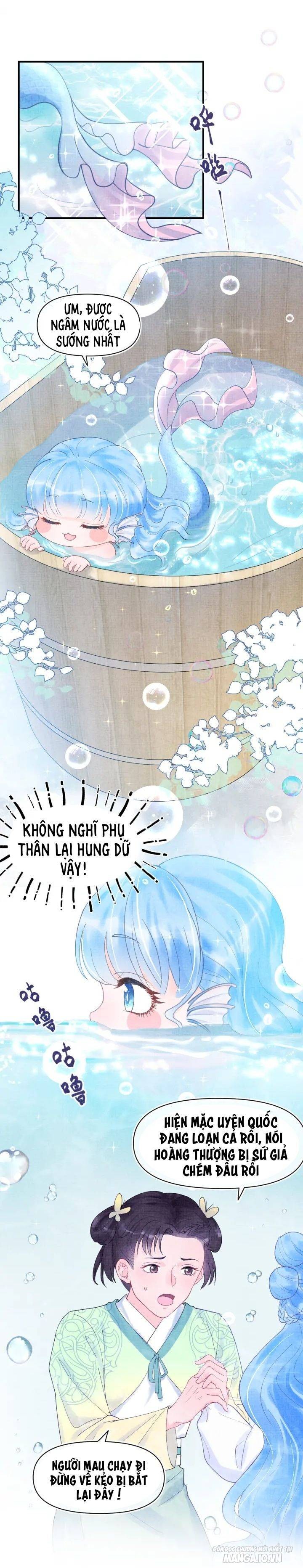 Con Gái Cưng Của Ta Là Mỹ Nhân Ngư Chapter 1 - Trang 2