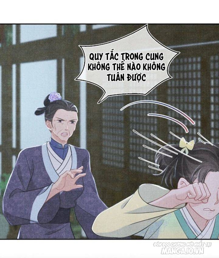 Con Gái Cưng Của Ta Là Mỹ Nhân Ngư Chapter 10 - Trang 2