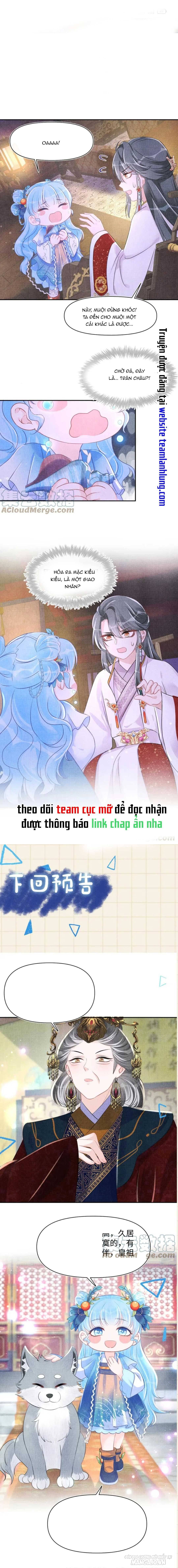 Con Gái Cưng Của Ta Là Mỹ Nhân Ngư Chapter 124 - Trang 2