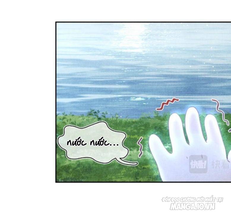 Con Gái Cưng Của Ta Là Mỹ Nhân Ngư Chapter 13 - Trang 2