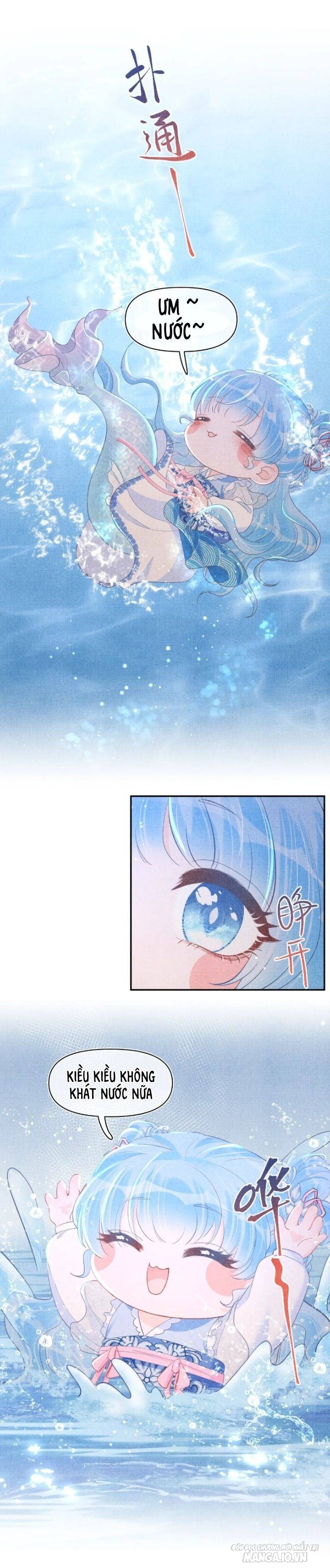 Con Gái Cưng Của Ta Là Mỹ Nhân Ngư Chapter 13 - Trang 2