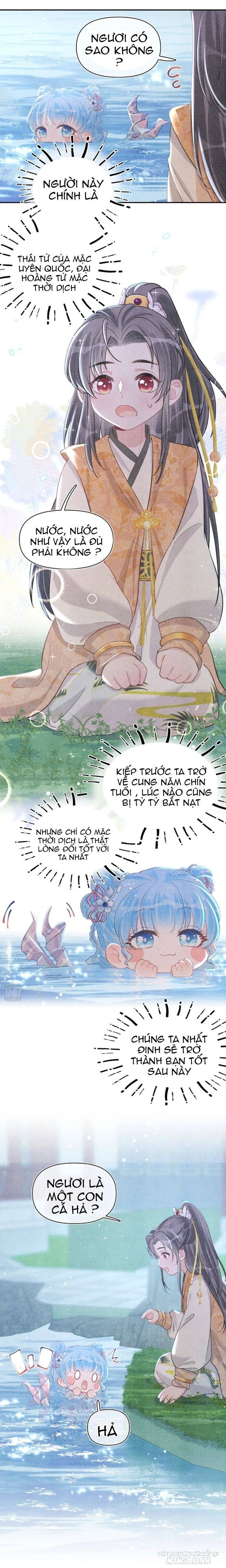 Con Gái Cưng Của Ta Là Mỹ Nhân Ngư Chapter 13 - Trang 2
