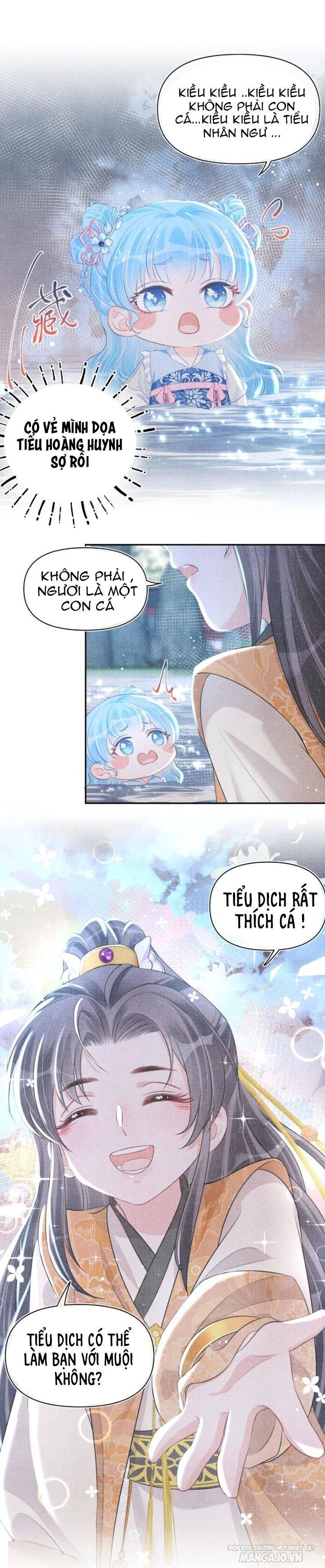 Con Gái Cưng Của Ta Là Mỹ Nhân Ngư Chapter 13 - Trang 2