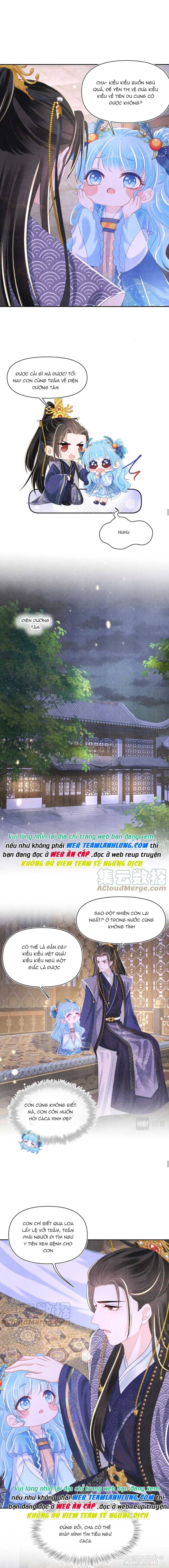 Con Gái Cưng Của Ta Là Mỹ Nhân Ngư Chapter 143 - Trang 2