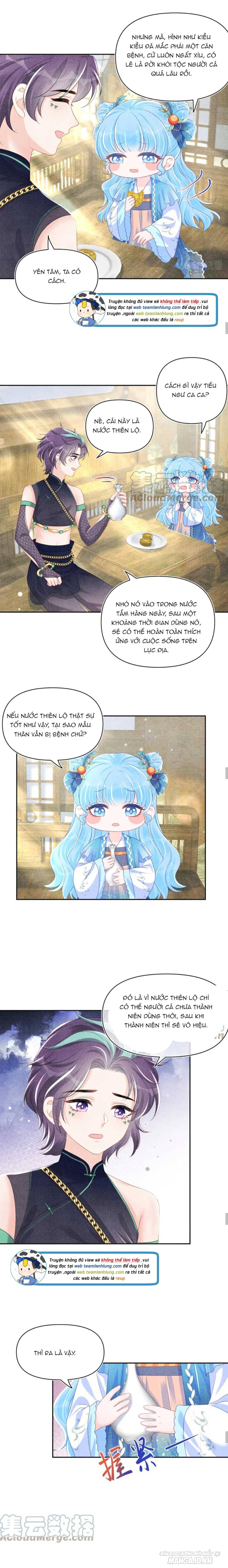 Con Gái Cưng Của Ta Là Mỹ Nhân Ngư Chapter 155 - Trang 2