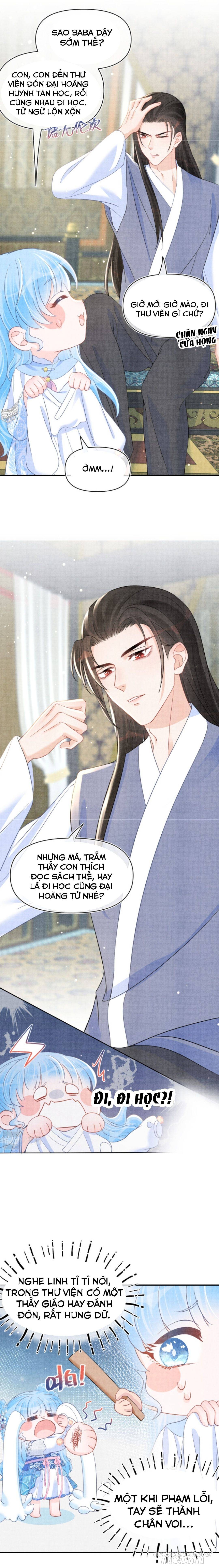 Con Gái Cưng Của Ta Là Mỹ Nhân Ngư Chapter 31 - Trang 2