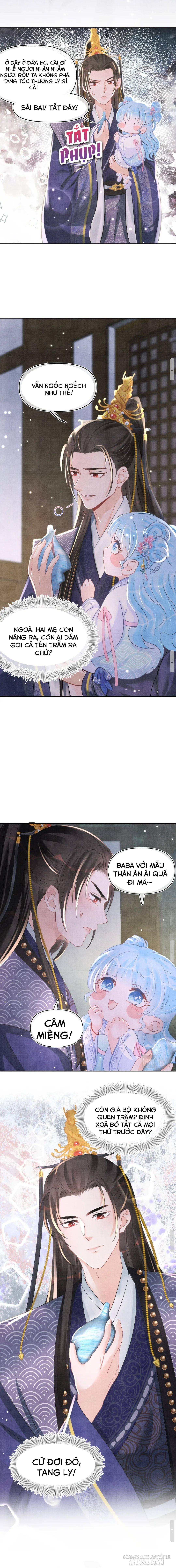 Con Gái Cưng Của Ta Là Mỹ Nhân Ngư Chapter 49 - Trang 2