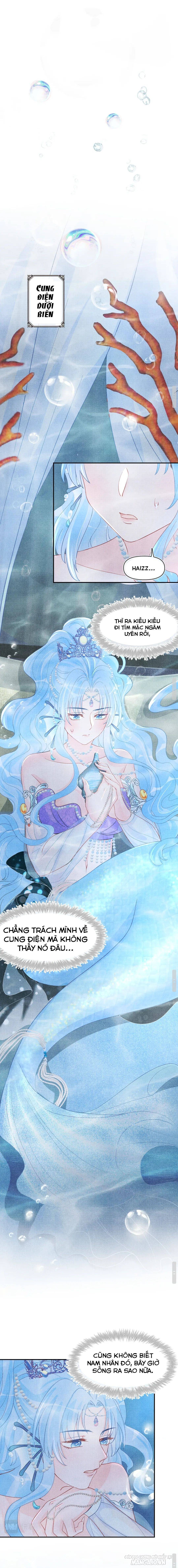 Con Gái Cưng Của Ta Là Mỹ Nhân Ngư Chapter 49 - Trang 2