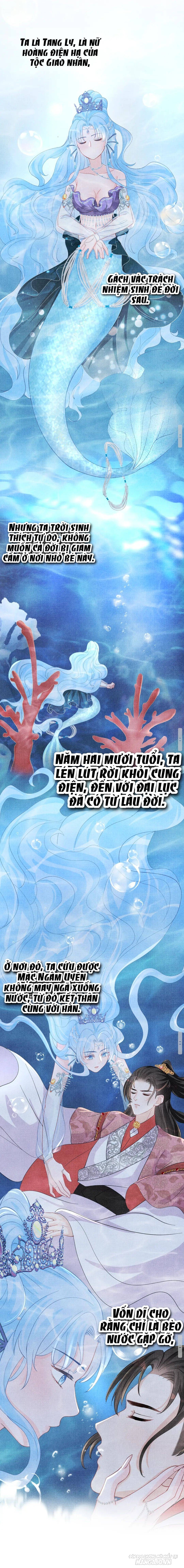 Con Gái Cưng Của Ta Là Mỹ Nhân Ngư Chapter 49 - Trang 2