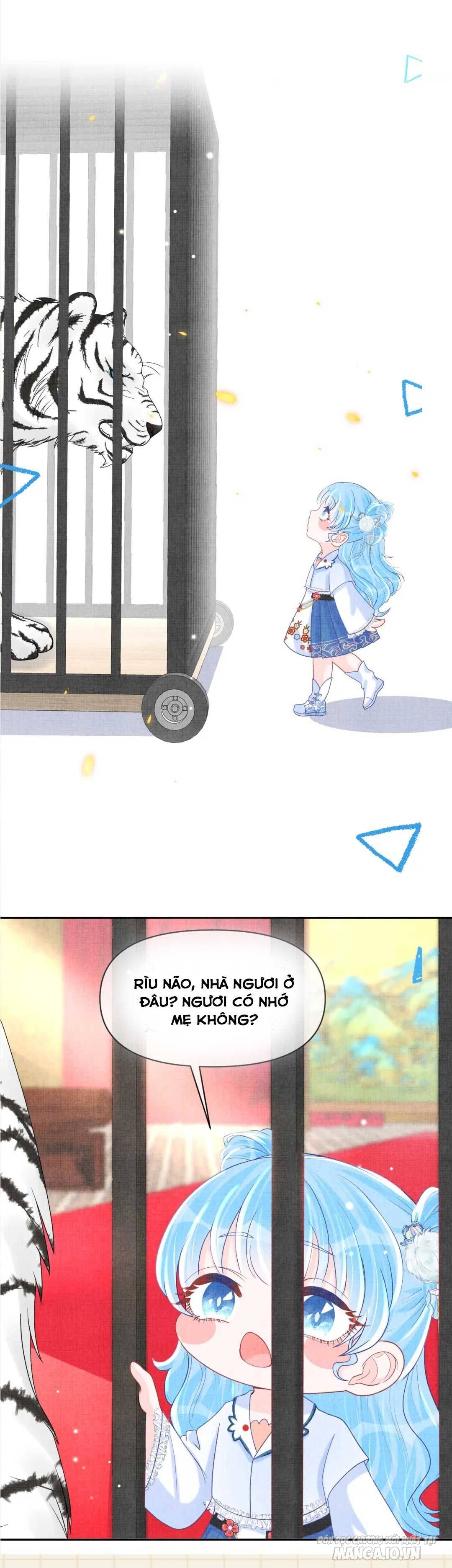 Con Gái Cưng Của Ta Là Mỹ Nhân Ngư Chapter 64 - Trang 2