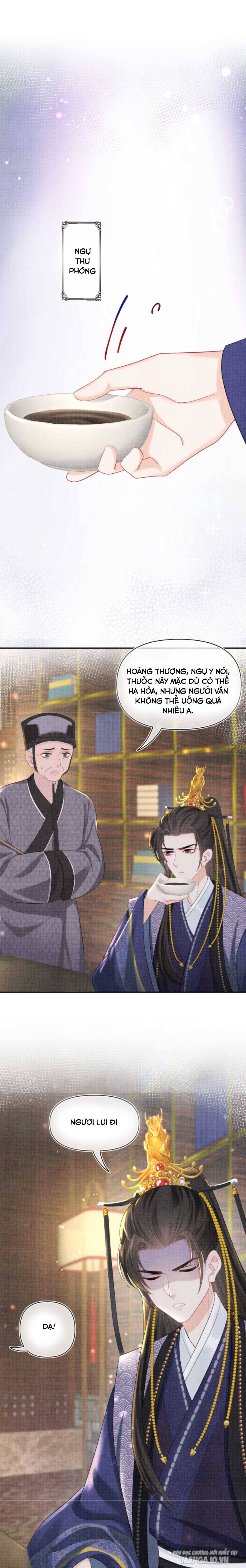 Con Gái Cưng Của Ta Là Mỹ Nhân Ngư Chapter 79 - Trang 2