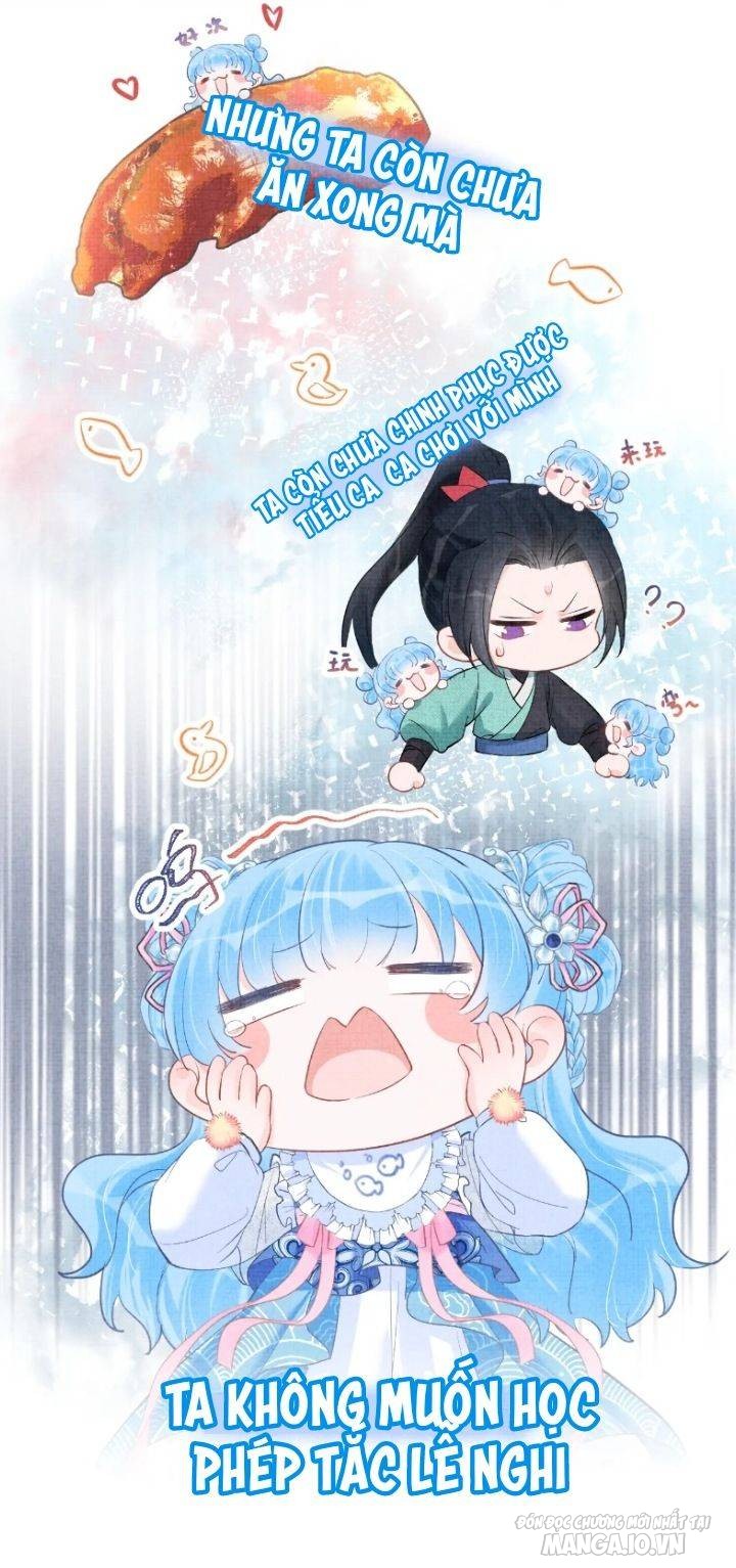 Con Gái Cưng Của Ta Là Mỹ Nhân Ngư Chapter 9 - Trang 2