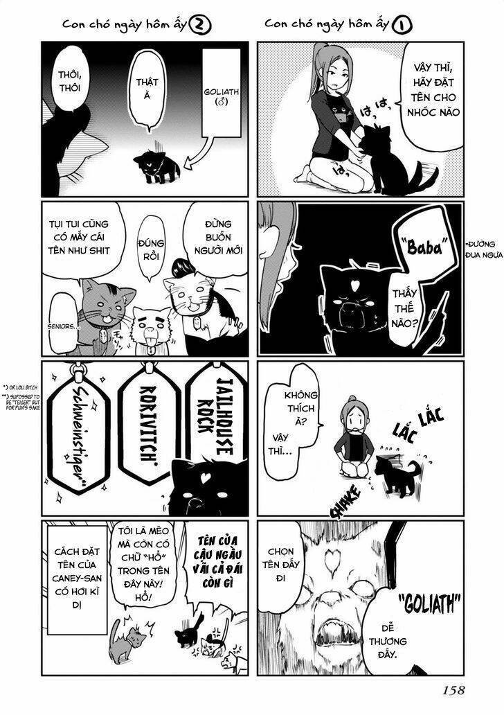 Con Quỷ Ngu Ngốc Dám Nhờn Với Các Chị Thiên Thần Chapter 8 - Trang 2