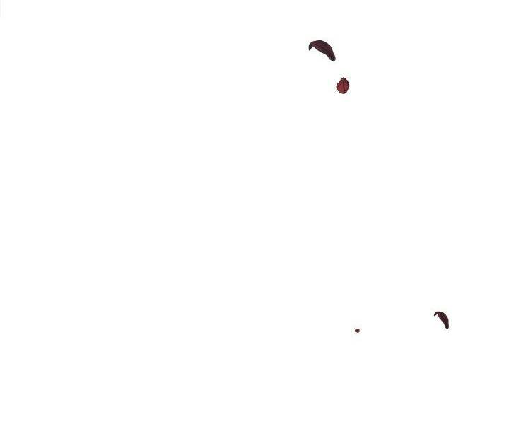 Công Chúa Ashtarte Chapter 44 - Trang 2