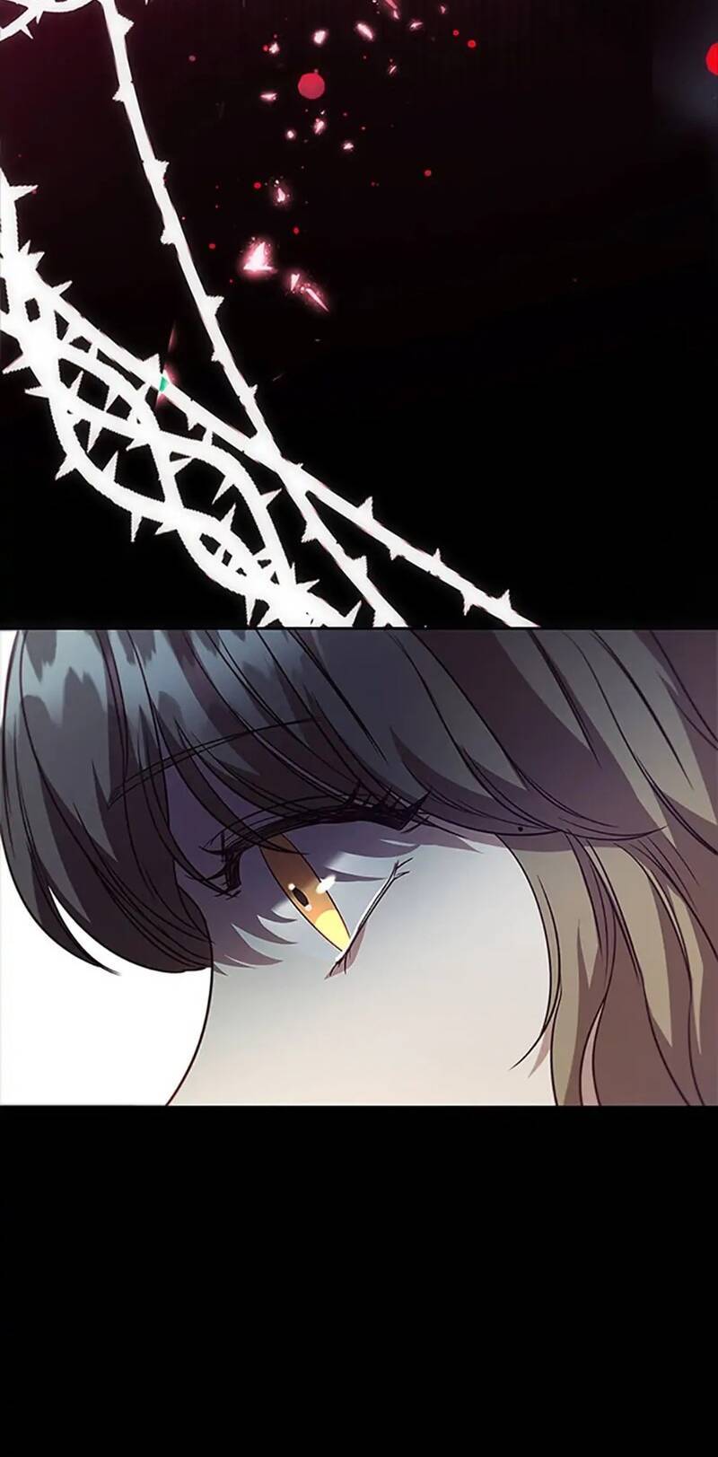 Công Chúa Bị Bỏ Rơi Chapter 34 - Trang 2