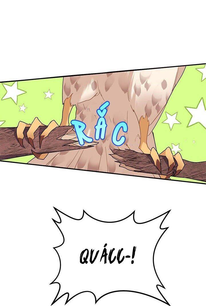 Công Chúa Của Loài Chim Chapter 2 - Trang 2