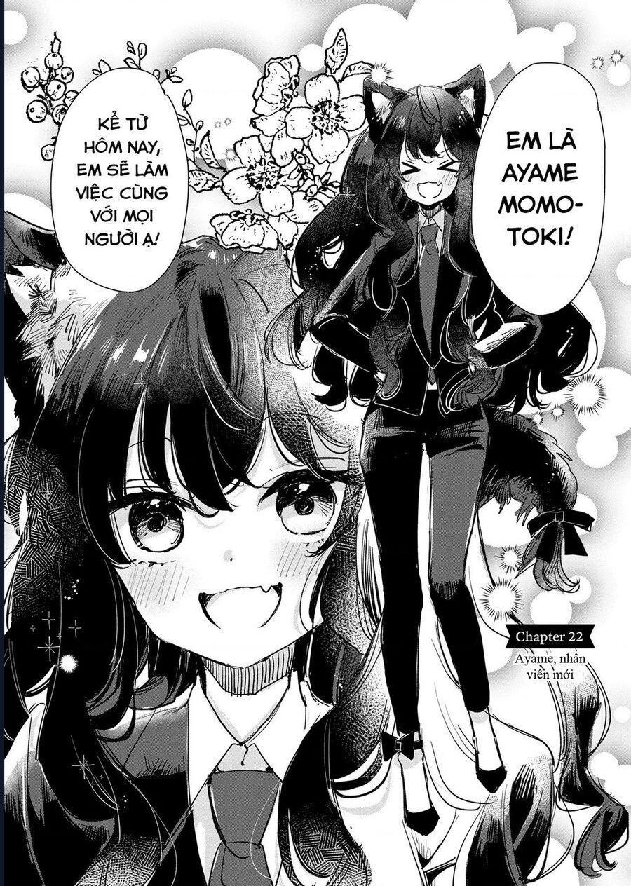 Công Chúa Cừu Trong Lốt Sói Chapter 22 - Trang 2
