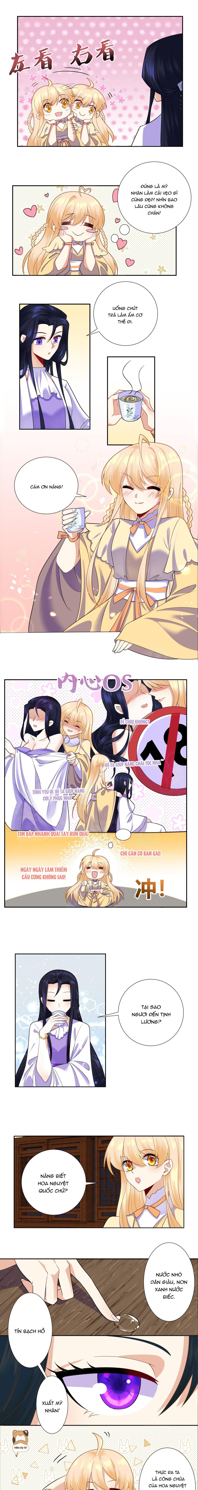 Công Chúa Hoà Thân Không Được Tốt Lắm Chapter 7 - Trang 2