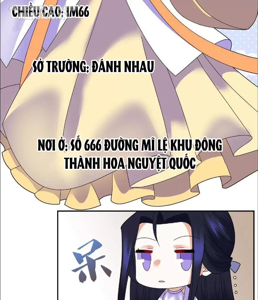 Công Chúa Hoà Thân Không Được Tốt Lắm Chapter 8 - Trang 2