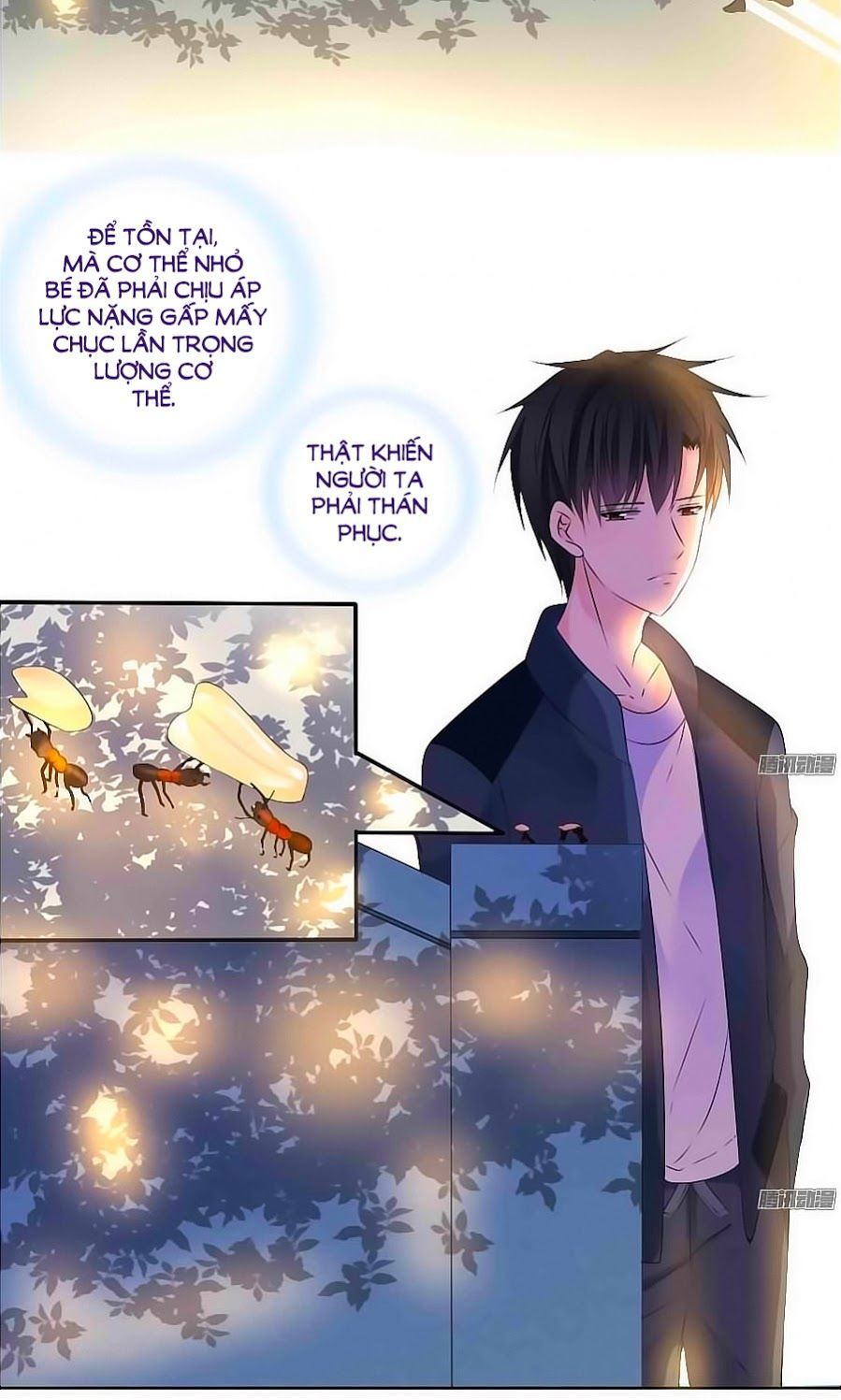 Công Chúa Nữ Vương Mệnh Chapter 29 - Trang 2