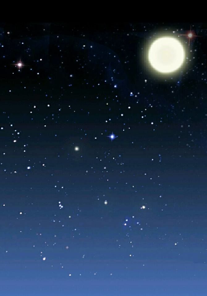 Công Chúa Nữ Vương Mệnh Chapter 3 - Trang 2