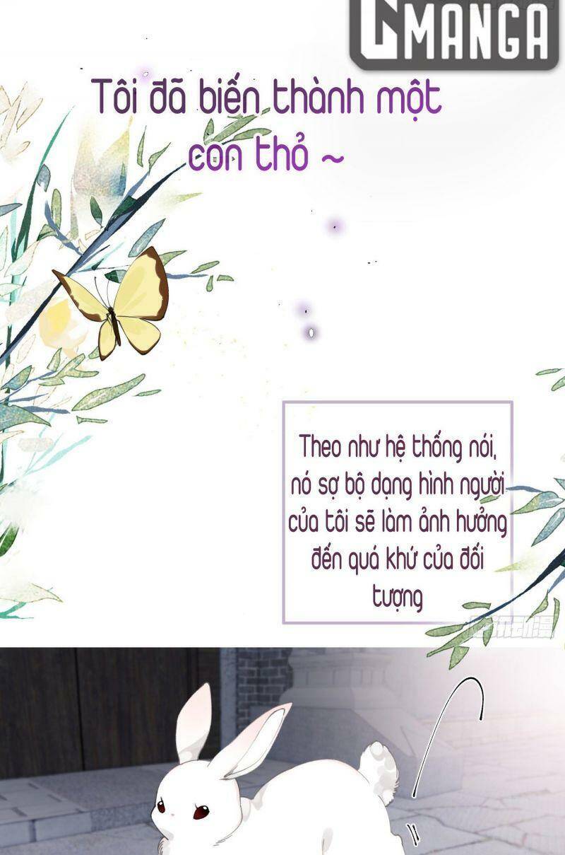 Công Chúa Pháo Hôi Muốn Tùy Tiện Đến Cùng Chapter 26 - Trang 2