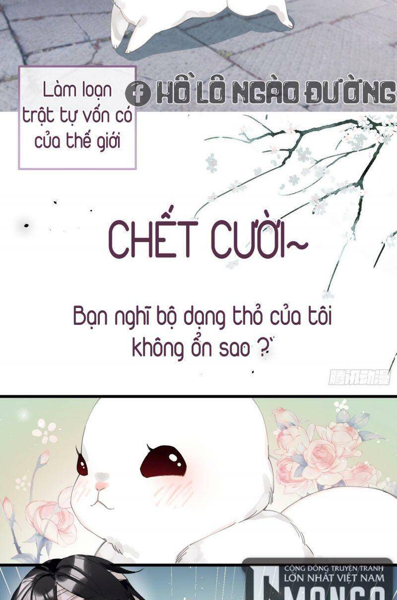 Công Chúa Pháo Hôi Muốn Tùy Tiện Đến Cùng Chapter 26 - Trang 2