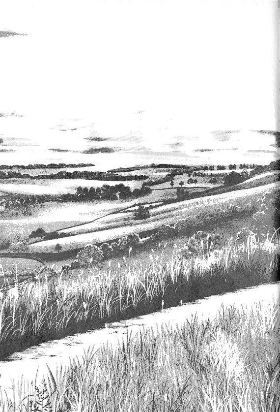 Công Chúa Xứ Hoa Chapter 3 - Trang 2