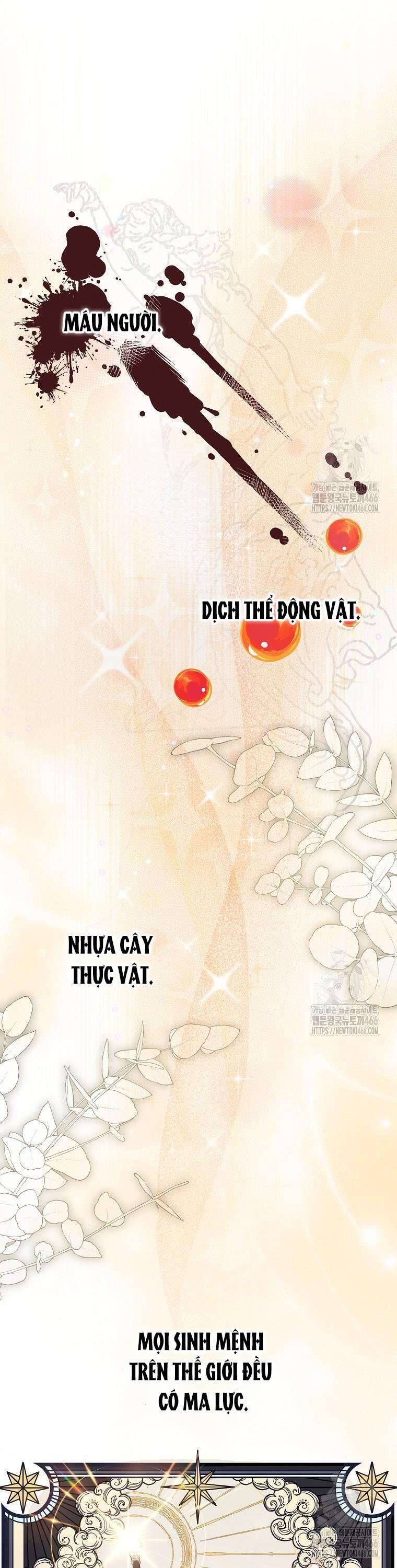 Công Nương Tái Sinh Chapter 24 - Trang 2