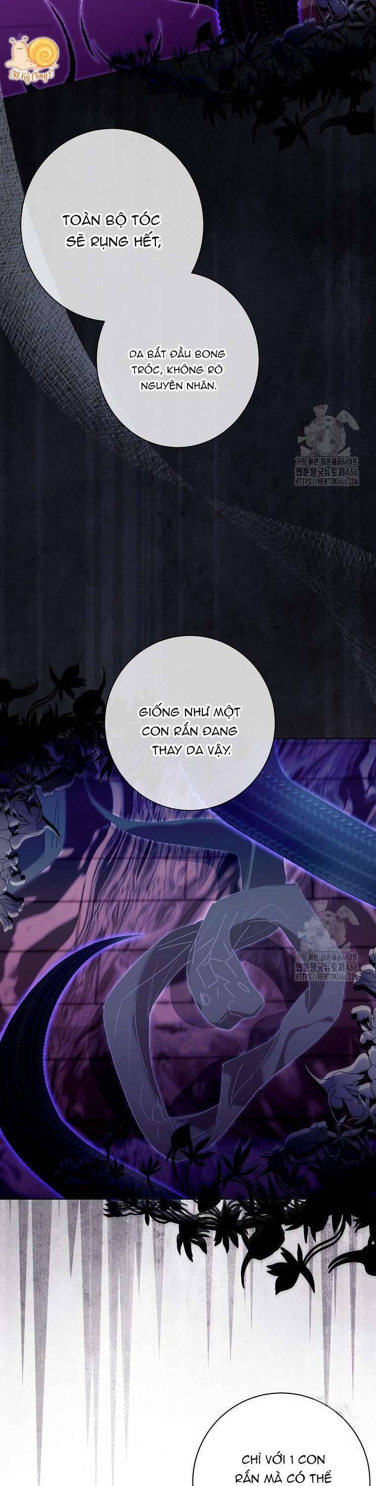 Công Nương Tái Sinh Chapter 24 - Trang 2