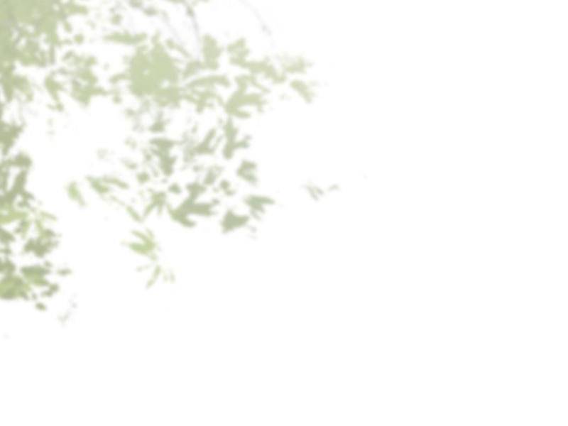 Công Tử Biệt Tú! Chapter 43 - Trang 2