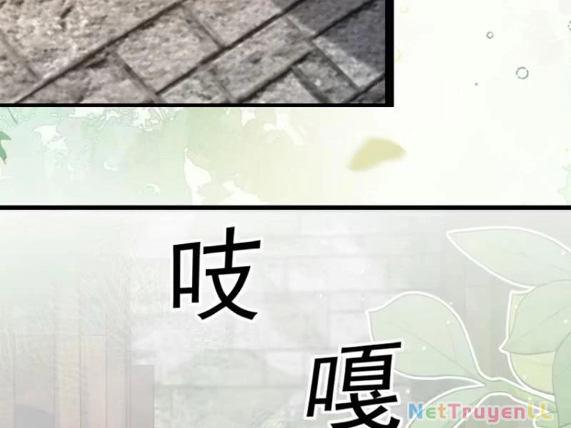 Công Tử Biệt Tú! Chapter 95 - Trang 2