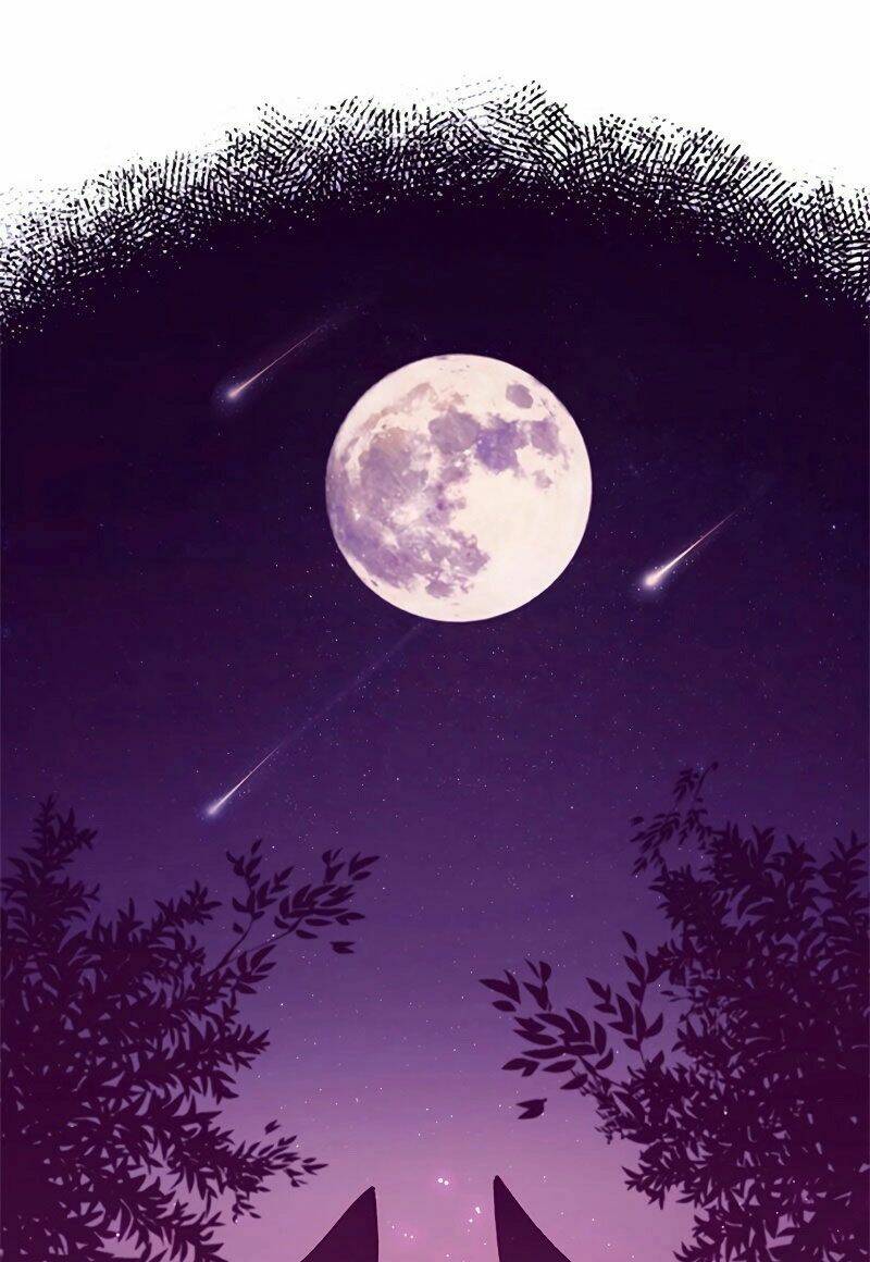 Công Tước Bạch Long Chapter 1 - Trang 2